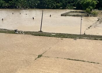 Flood waters in Assam