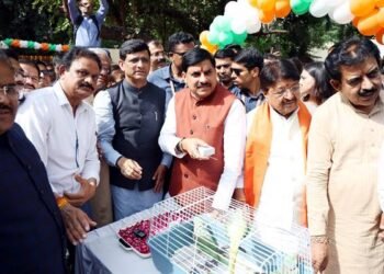 Virtual zoo, cinema theatre, and 'virtual jungle safari' at Indore Zoological Museum