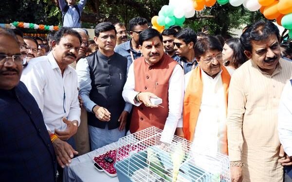Virtual zoo, cinema theatre, and 'virtual jungle safari' at Indore Zoological Museum