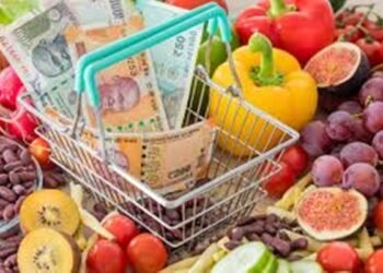 Graph showing inflation rates in India