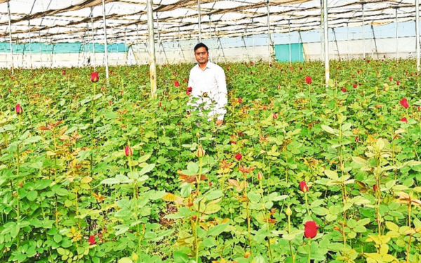 A colorful field of flowers in Rupakheda village, Madhya Pradesh