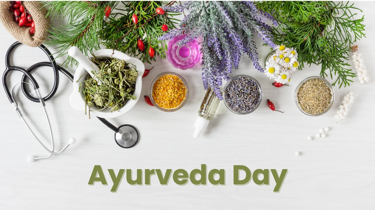 A gathering for the 11th Ayurveda Day in Nagpur