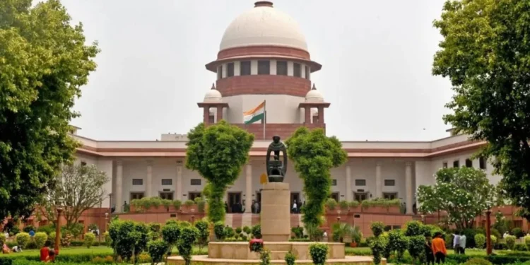 Justice and Scales symbolizing the law and justice system