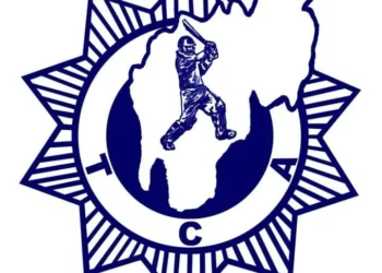 Image depicting a cricket academy