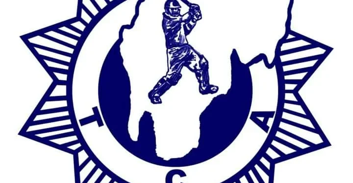 Image depicting a cricket academy