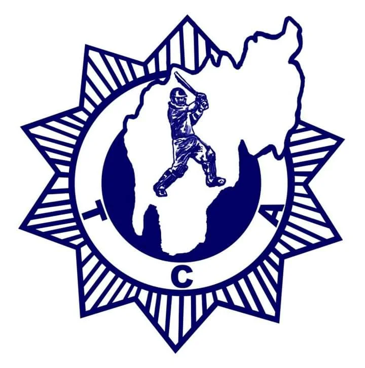 Image depicting a cricket academy